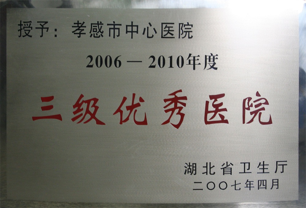 三级优秀医院