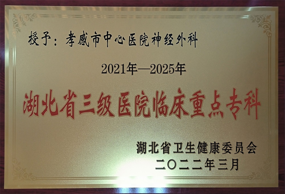 神经外科“湖北省三级医院临床重点专科”