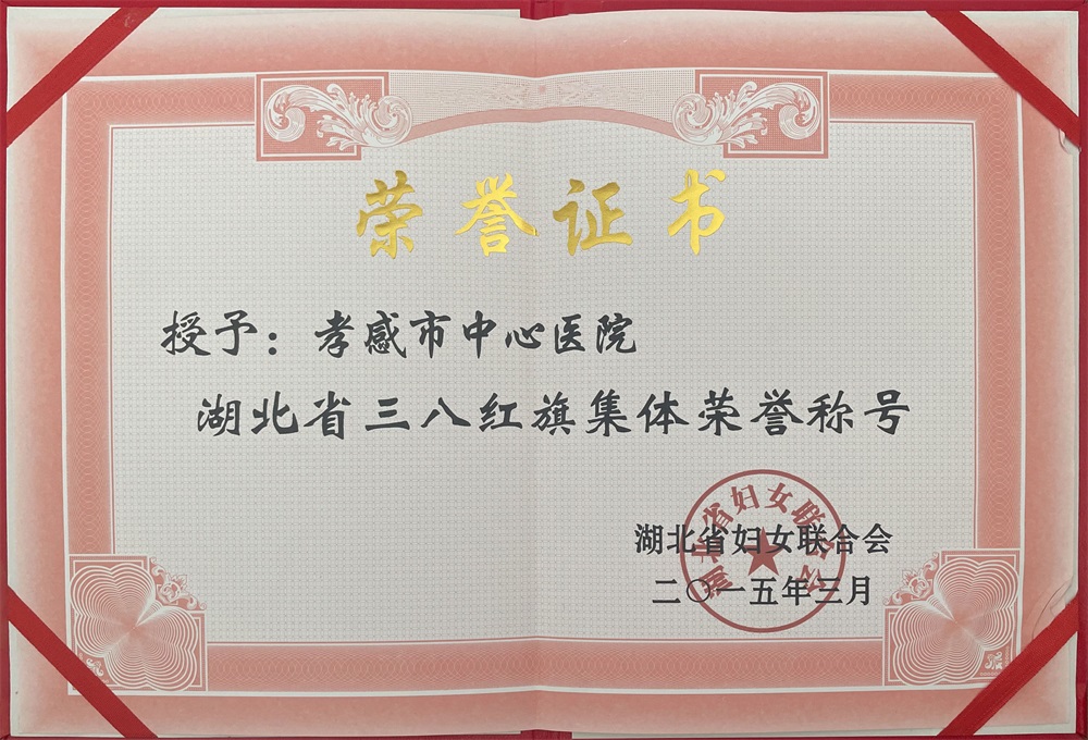 湖北省三八红旗机器荣誉称号