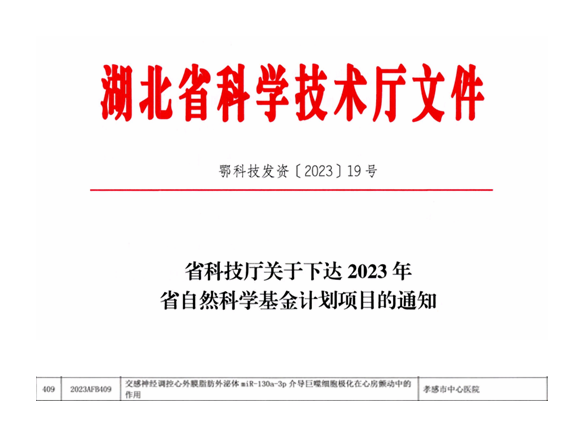 510210a4538d68a862f989376eee95e6.png